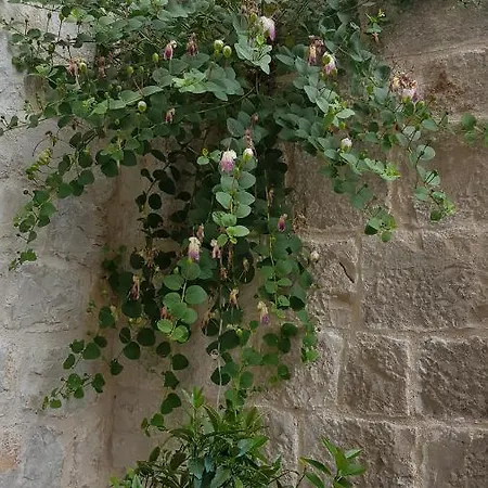 Moretti Penzion Trogir